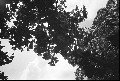 Image18_thumb.jpg