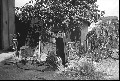 Image1_thumb.jpg