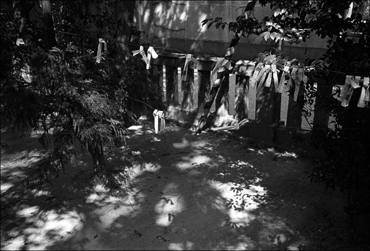 Image3.jpg