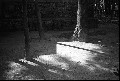 Image4_thumb.jpg