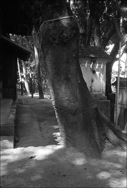 Image5.jpg