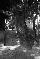 Image5_thumb.jpg