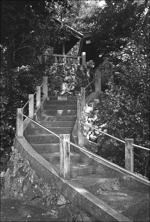 Image9.jpg