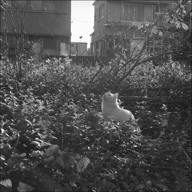 05.jpg