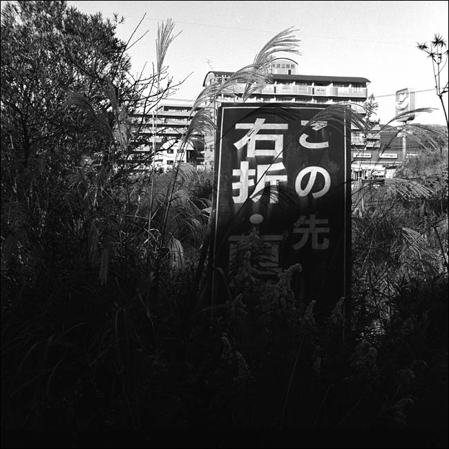 04.jpg
