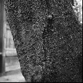 Image11_thumb.jpg