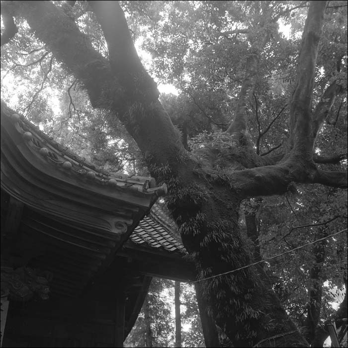 Image6.jpg
