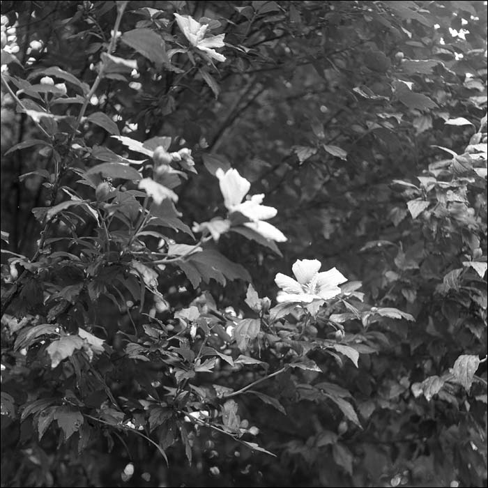 Image8.jpg