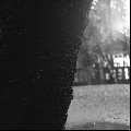 Image9_thumb.jpg