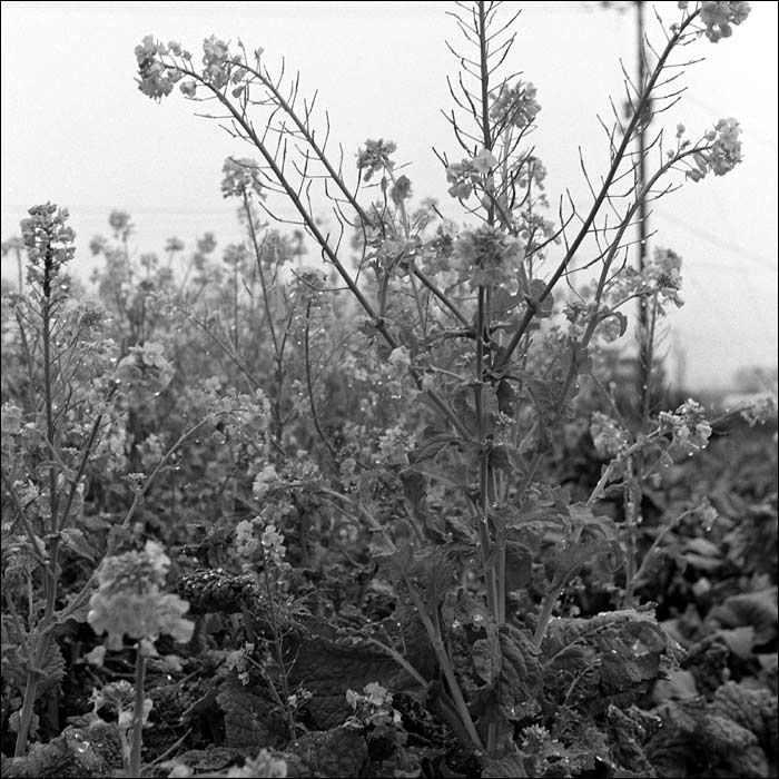 Image10.jpg