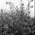 Image10_thumb.jpg