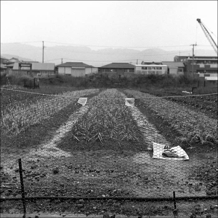 Image3.jpg
