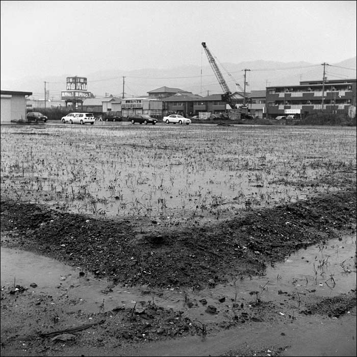 Image5.jpg