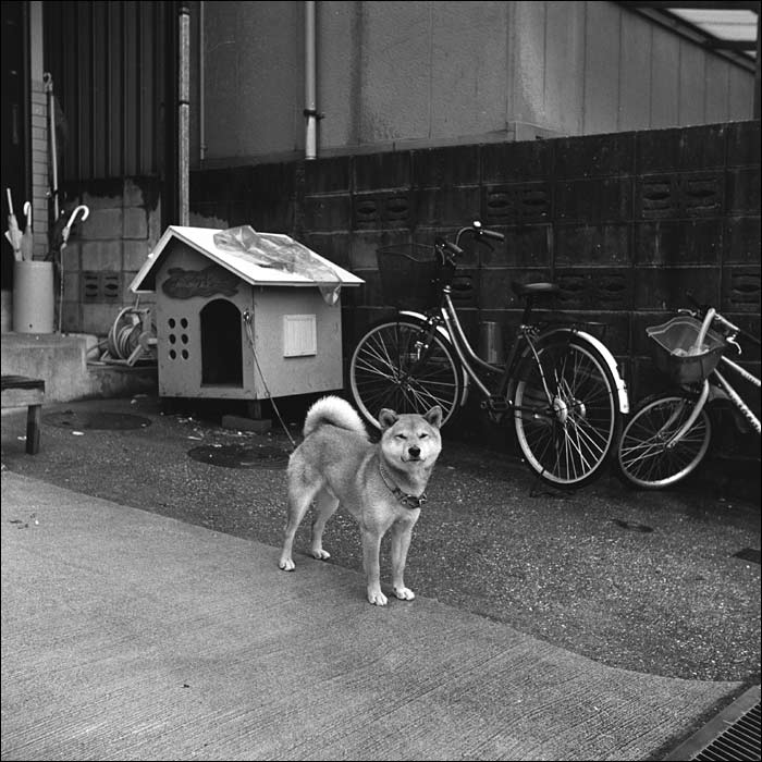 Image8.jpg
