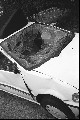 Image1_thumb.jpg