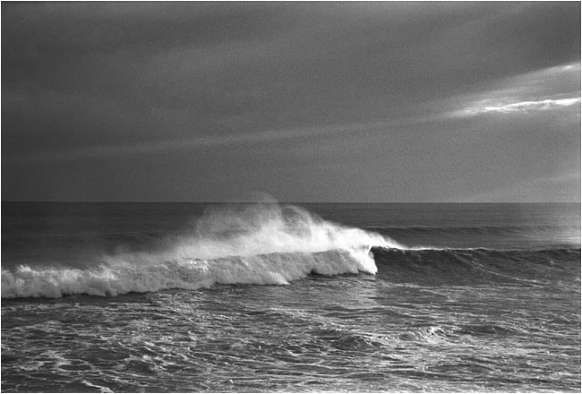 Image6.jpg