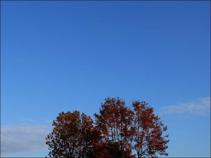 P1010075.jpg