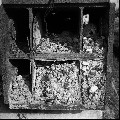 Image6_thumb.jpg
