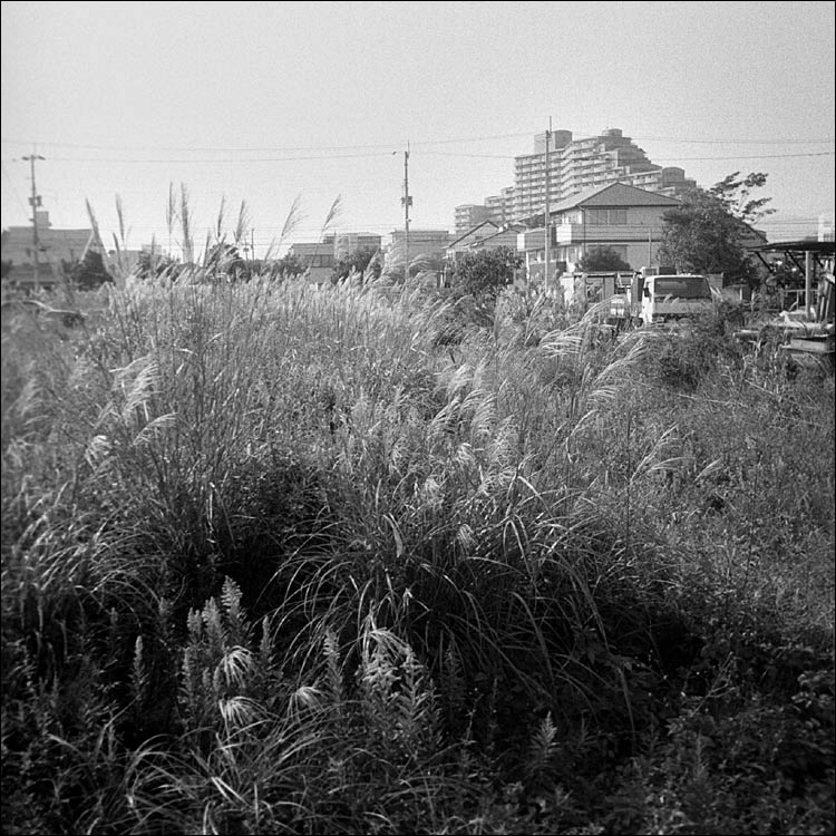 Image7.jpg