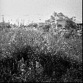 Image7_thumb.jpg
